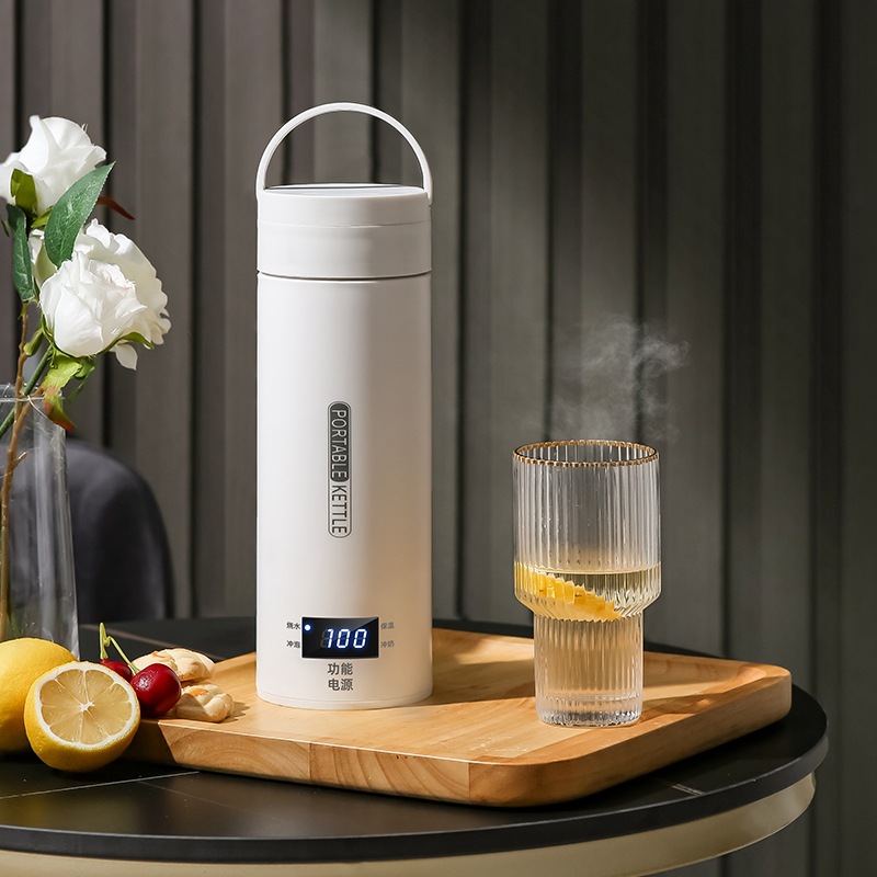 Bollitore elettrico da viaggio - Baby Food Warmer Portable recensione e prezzo