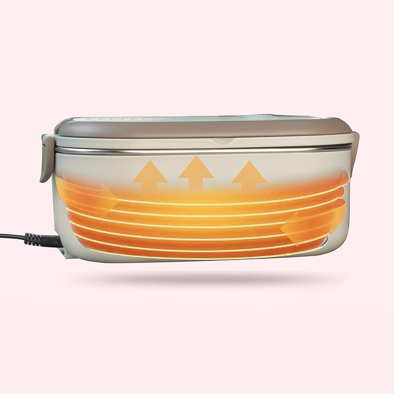 220V 110V Lunch Box Elettrico  - Baby Food Warmer Portable recensione e prezzo